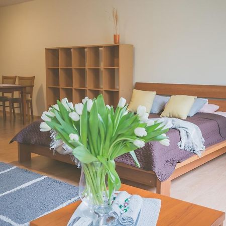 Apartamenty Przy Zamku Opolznevoye Bagian luar foto
