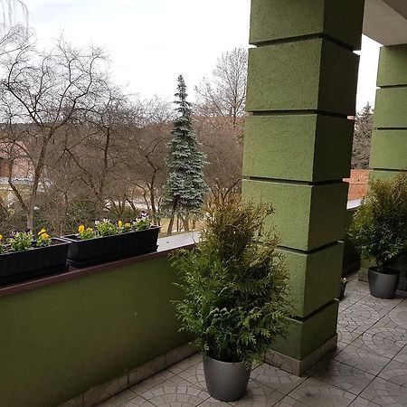 Apartamenty Przy Zamku Opolznevoye Bagian luar foto