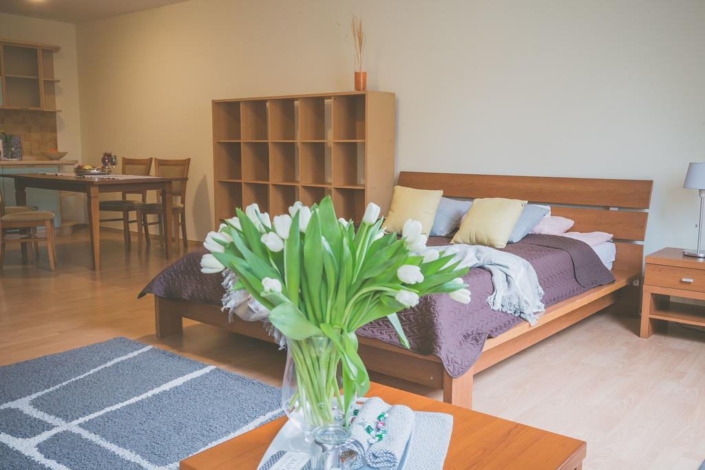 Apartamenty Przy Zamku Opolznevoye Bagian luar foto