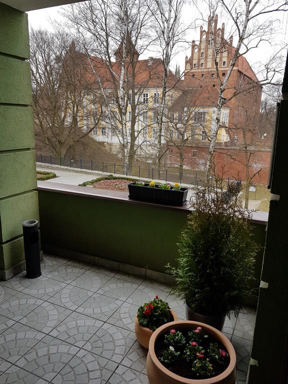 Apartamenty Przy Zamku Opolznevoye Bagian luar foto